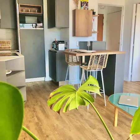 Apartment T2 - Cite Des Congres - 5' A Pied De La Gare - Parking Nantes